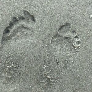 Meet your Posher, Matt